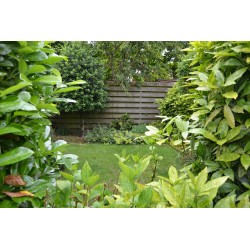 Appartement 184-2